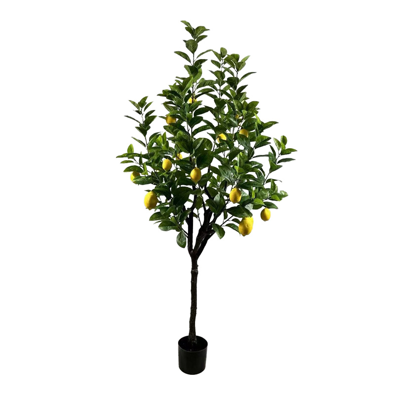 316-000034 Διακοσμητικό φυτό Lemon tree σε γλάστρα Inart πράσινο pp Υ180εκ - Image 1